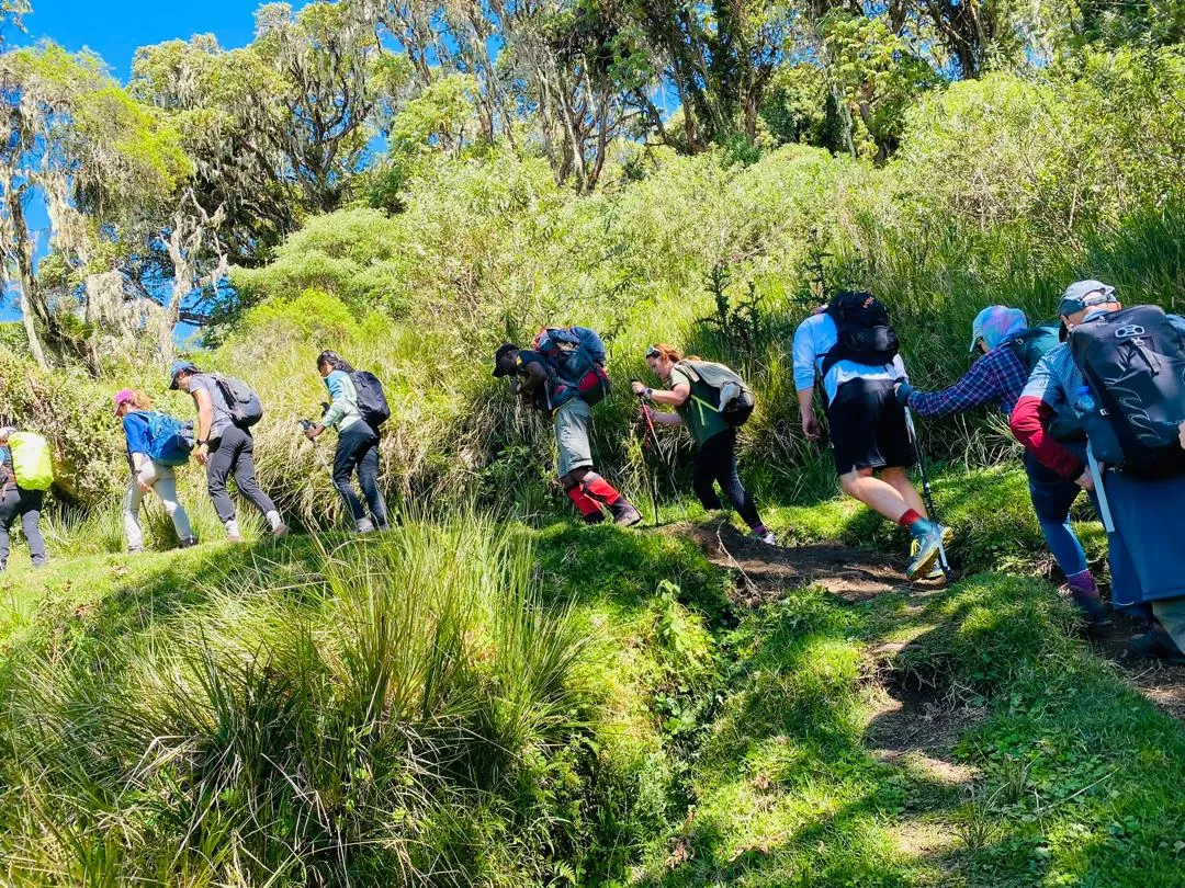 Mount Kilimanjaro trekking landscape